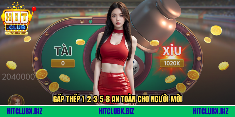 Gấp thếp 1-2-3-5-8 an toàn cho người mới