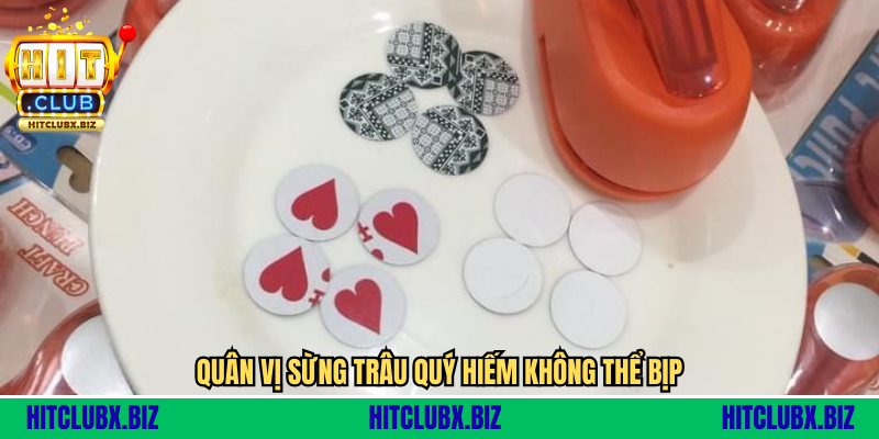 Quân vị sừng trâu quý hiếm không thể bịp